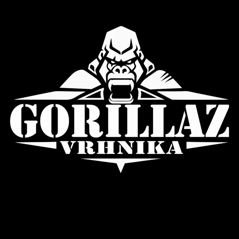 Športno društvo borilnih veščin Vrhnika